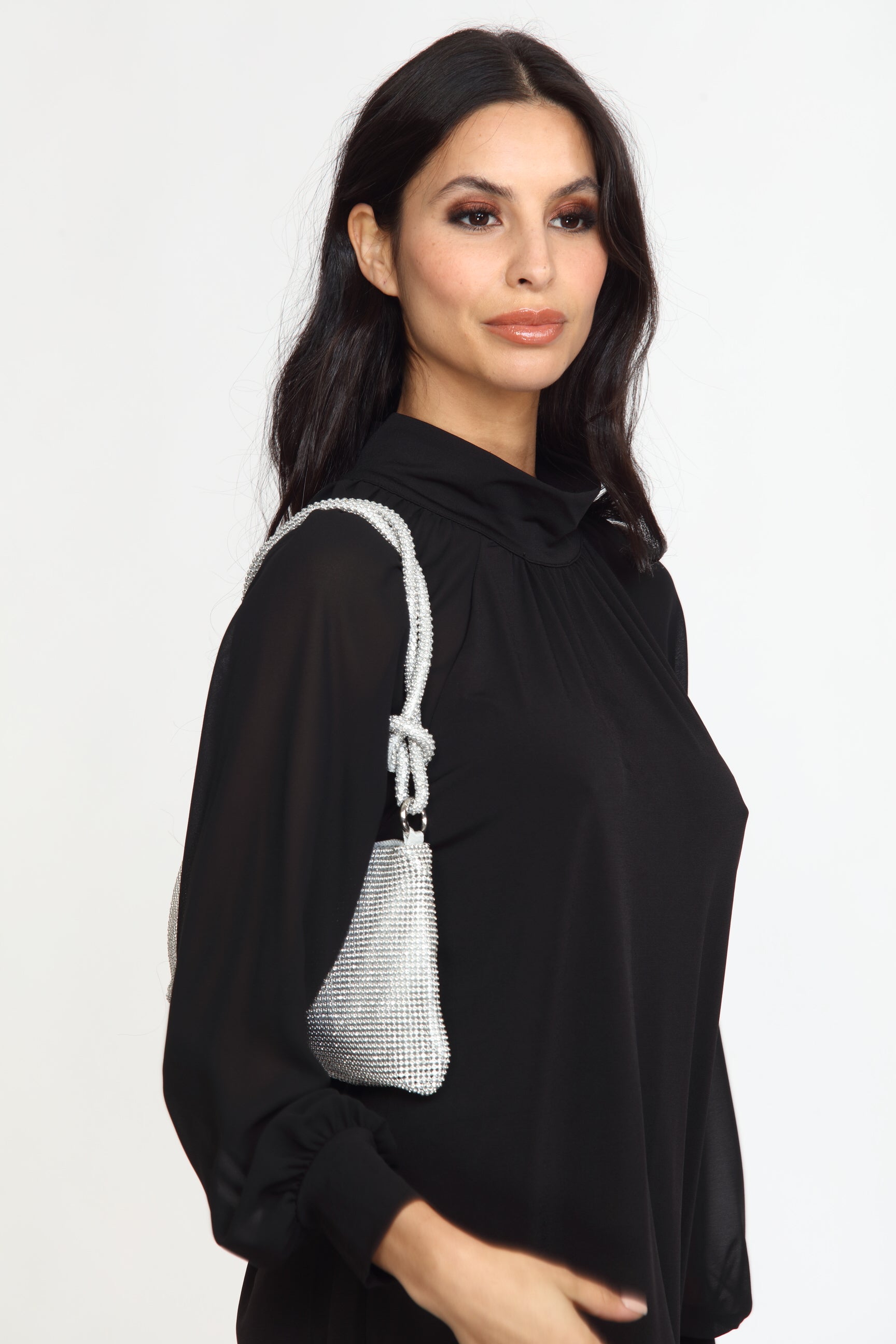 Silver Chain Party Purse