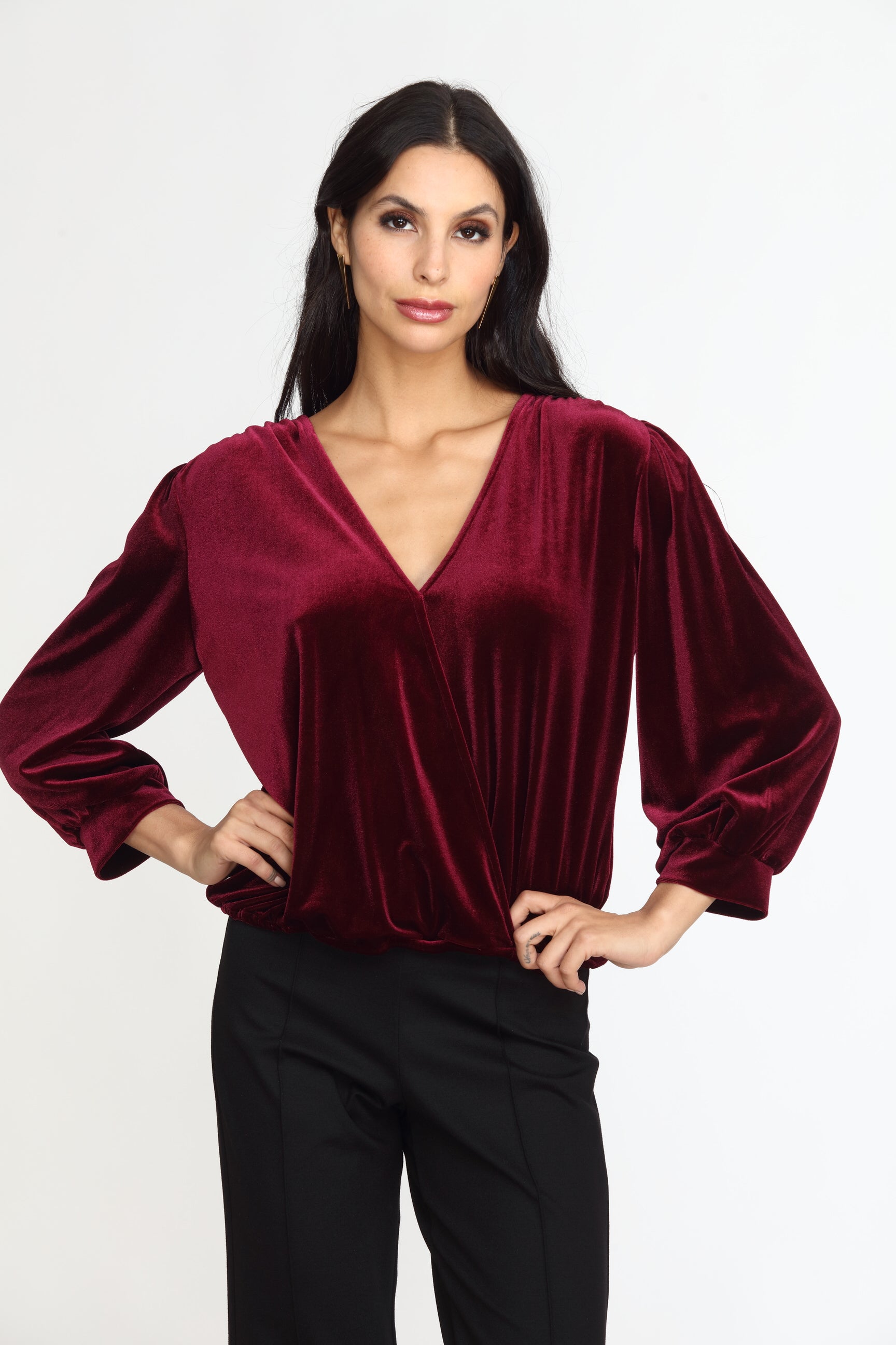 Pinot Velvet Puff Sleeve Top- FINAL SALE
