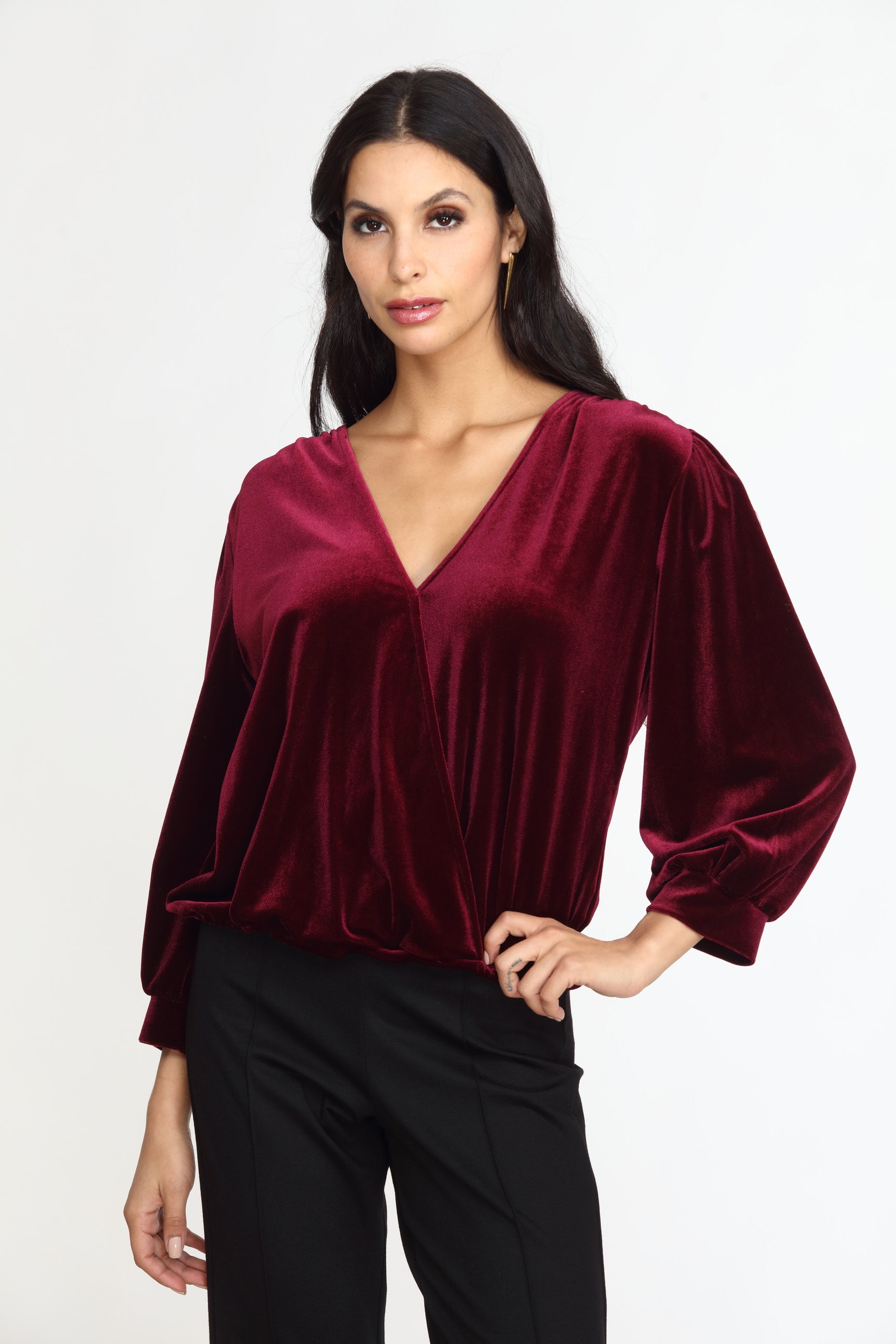 Pinot Velvet Puff Sleeve Top- FINAL SALE