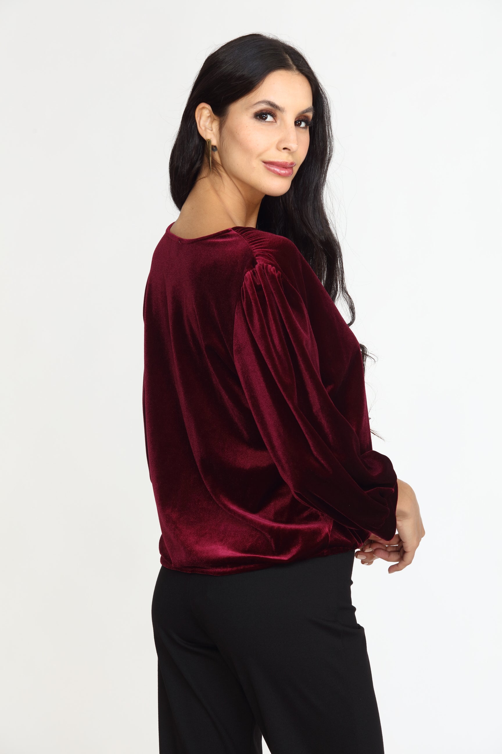 Pinot Velvet Puff Sleeve Top- FINAL SALE